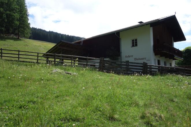 weiter geradeaus auf eine Forststraße