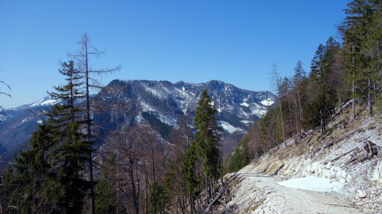 Reiter- Rieserschneid und Sonnspitz vor der Spitzkehre ~950m