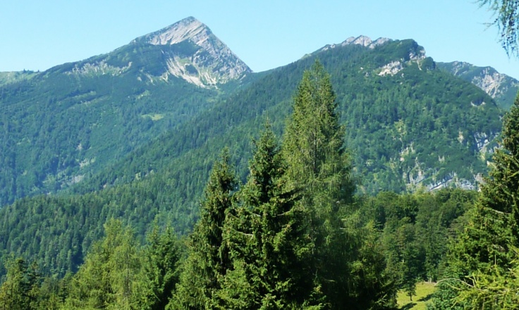 Sonntagshorn