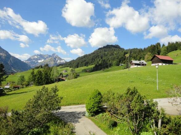 Blick_im_Sommer