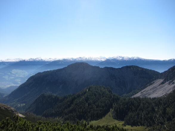 Zunterköpfe von Norden