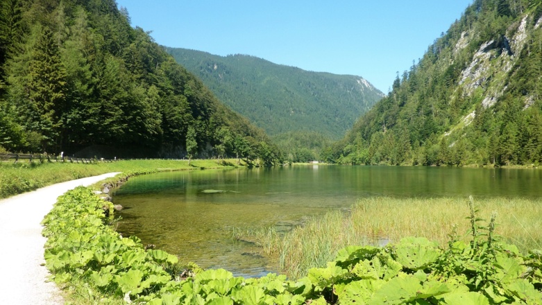 Am Förchensee