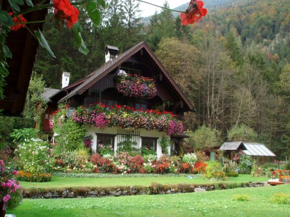 Blumenhaus Ebner
