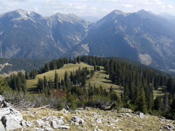 Die weglose Abstiegsstrecke vom Rohnberg zur verfallenen Rohnbergalm