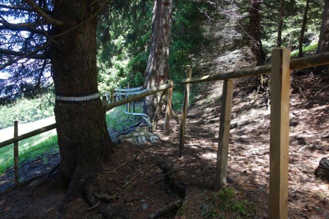 die Abkürzung am Wiesenrand mit einer alten Markierung