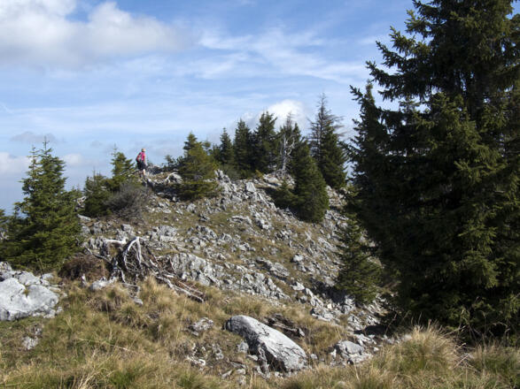 Der selten besuchte Gipfel des Rohnbergs
