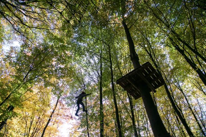 waldkletterpark-9521