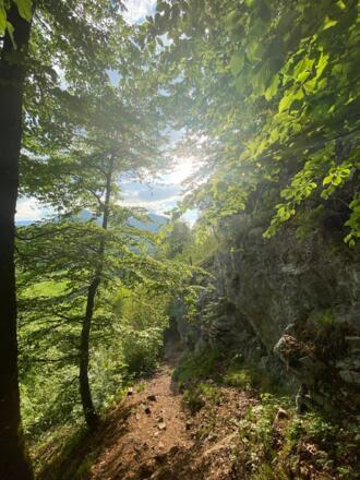 Aufstieg im felsigen Wald