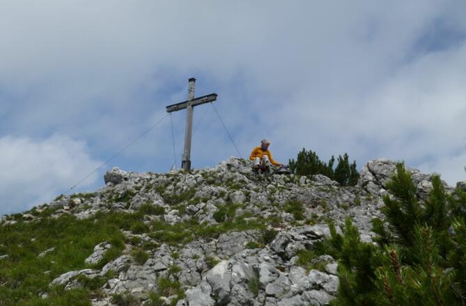 Wanderin auf dem Gipfel der Hochsalwand
