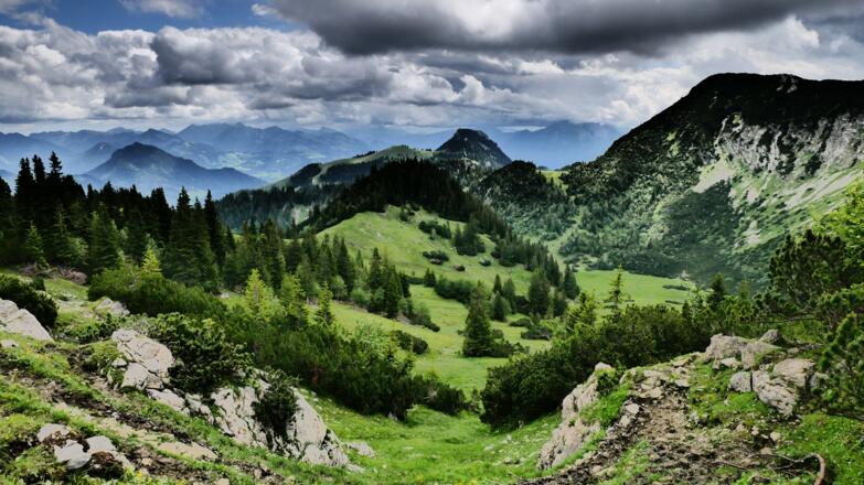 Blick vom Fellalm-Sattel Richtung Traithenkessel und Brünnstein