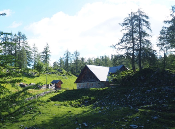 1476m Moosangeralm
