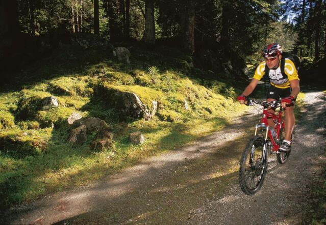 Untersulzbachtal