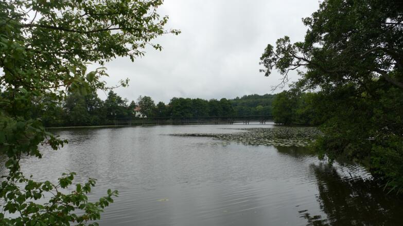 Der Beckenweiher mit dem Naturbeobachtungssteg