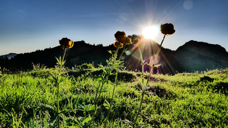 Sonnenaufgang in der Nähe der Himmelmoos Alm