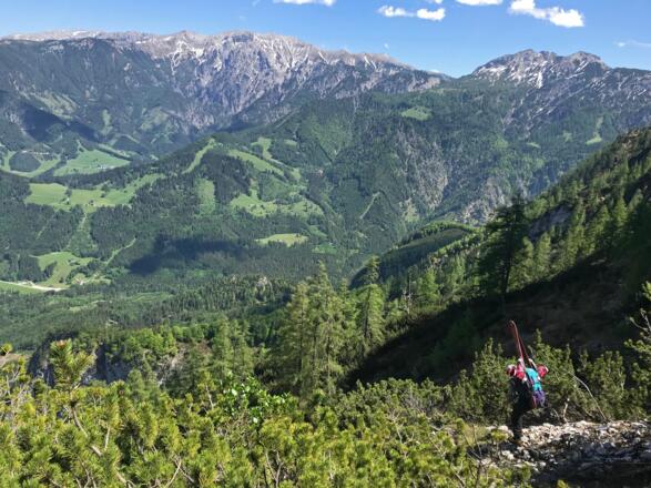 Abstieg durchs Gemüse