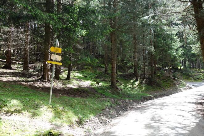 zahlreiche Wegweiser erleichtern die Orientierung