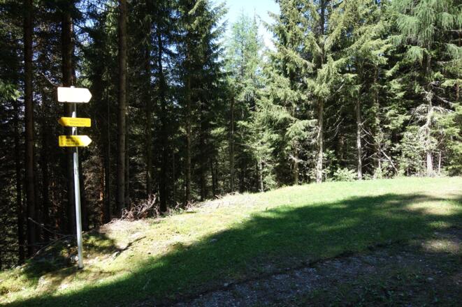 in vielen Kehren bergauf, hier wieder ein Wegweiser