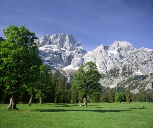 Über dem Rohntalboden ragen Östliche Karwendelspitze und Vogelkarspitze auf.