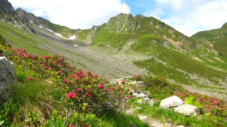 Alpinsteig