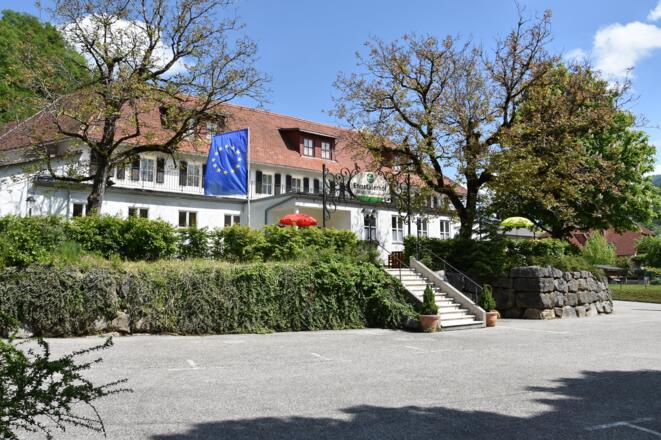 Hotel Restaurant Ennstalerhof - Großraming