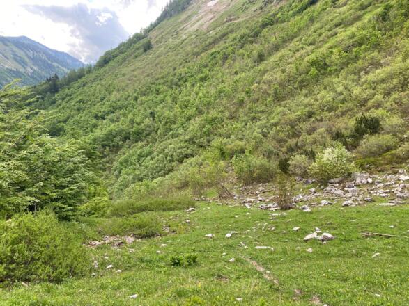 Hier gehts links im Schneidhofgraben am Ende der Forststraße ein paar Meter abwärts und dann über den Pfarrersteig Richtung Hochwieskopf