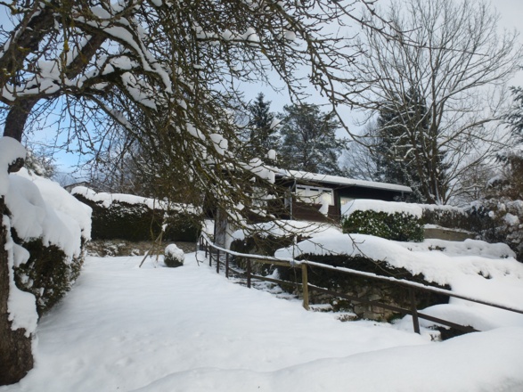 Ferienhaus Rosalinde