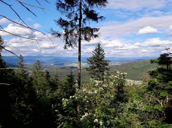 Ausblick vom Wanderweg Nr. 7 über Kalteck