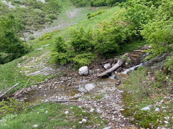 Kleine Bachquerung am Ende der Almstraße im Schneidhofgraben. Kurz danach führt der Weg links nach unten.