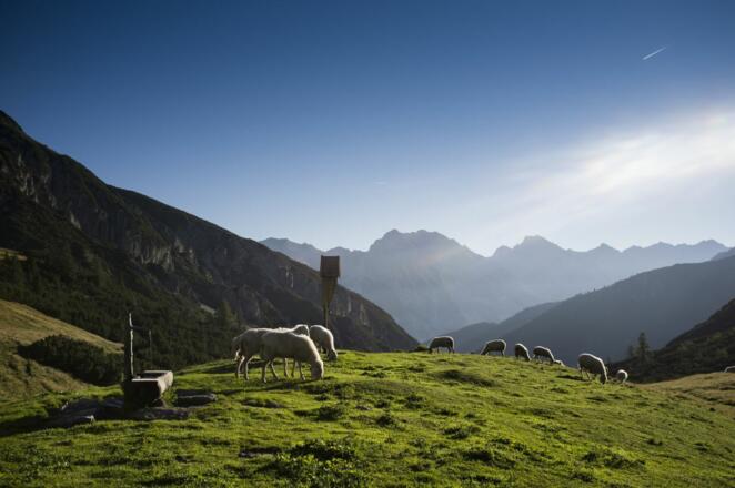 Solsteinhaus auf dem Erlsattel