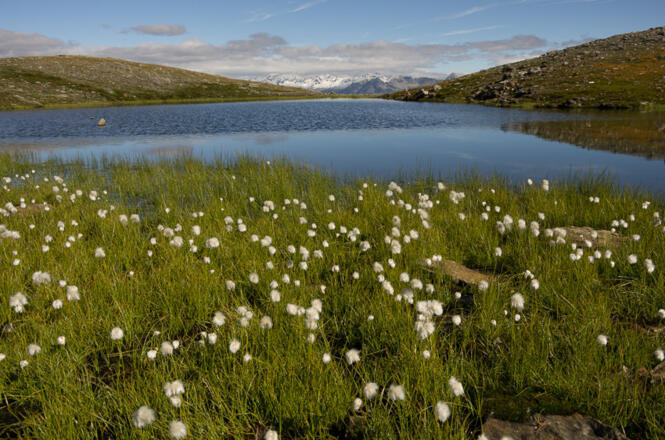 Seeauge nahe dem Kirschentörl unter dem Hochkreuz.