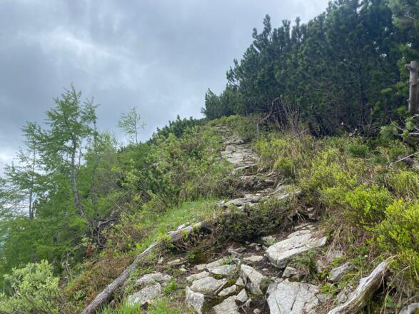 Am Grat entlang die letzten Meter zum Hochwieskopf