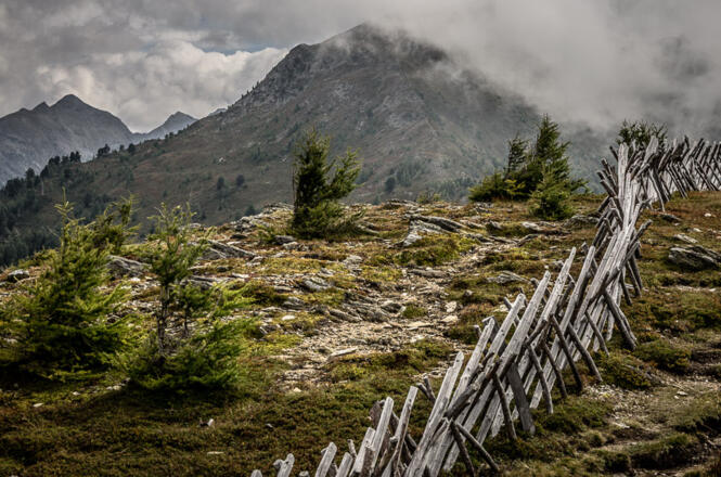 Entlang dem Holzkreuzzaun zum Ederplan. Blick zurück auf den Kamm.