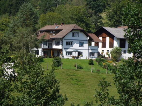 Ferienhof Höslbauer - Großraming