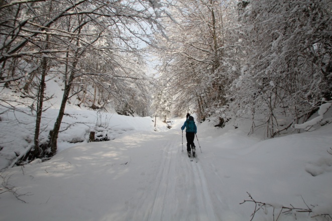 Durch das nette Katzental