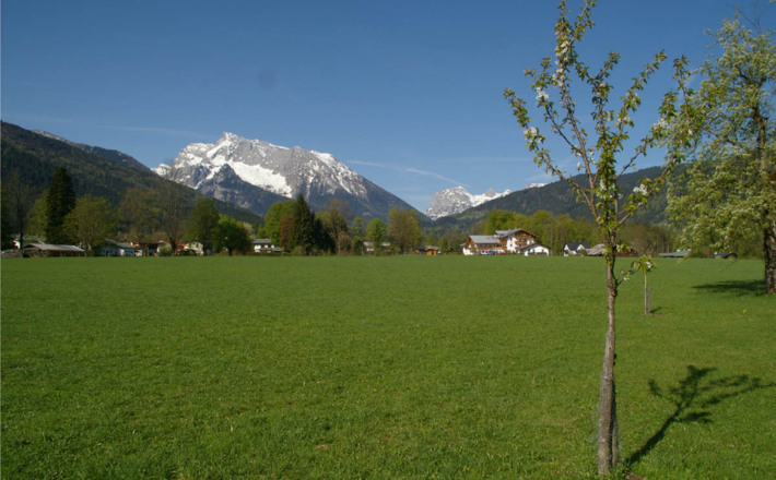 Kühroint über Schönau