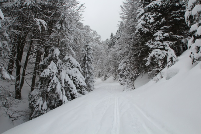 Kurz nach der Abzweigung