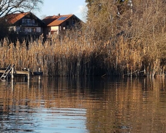 Badeplatz mit Blick auf Chiemsee-Traum