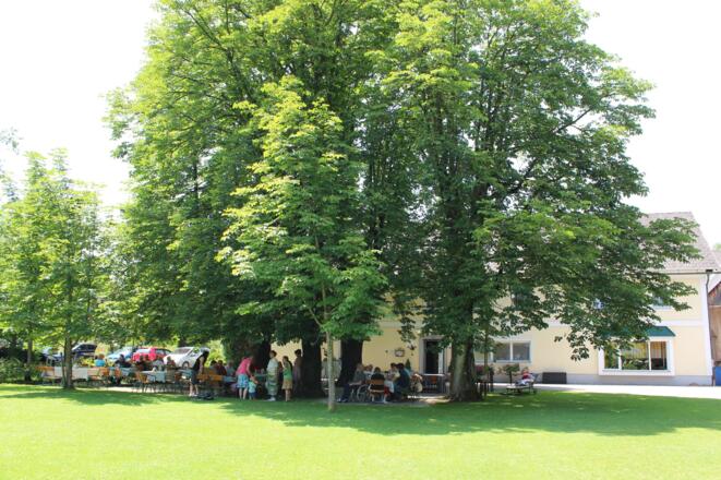 Steiner-Kraml Gastgarten