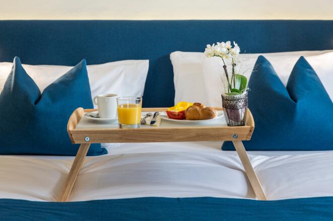 Penthouse Suite Salz Living Hallstatt Hideaway