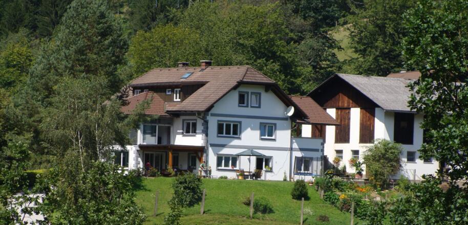 Ferienhof Höslbauer - Großraming
