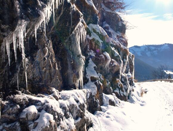 Zufahrtsstraße zur Hintersteineralm, ~920m bis 1029m