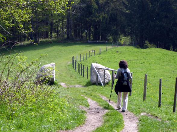 Zwischen "Schwarz und Weiß" heißt die Kunstinstallation von Michael Ferner.