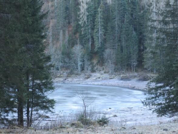 Variante über Windhagersee am 20.12.15