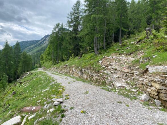 Forststraßenquerung Richtung Hochwiesalm