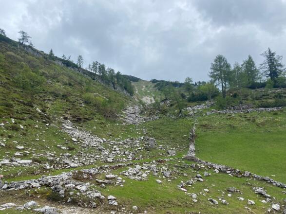 Von der Moosangerlalm Richtung Hoher First und Dürlstein durch die Rinne und dann "links"