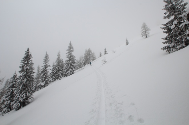 Freie, steile Hänge im oberen Bereich