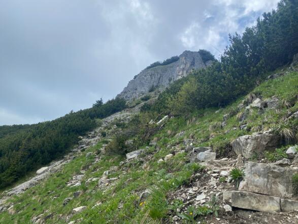 Steiler Abstieg vom Gruberhorn Richtung Gennersattel