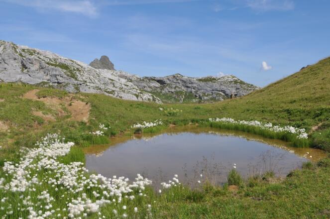 Abstieg zur Tilisunahütte