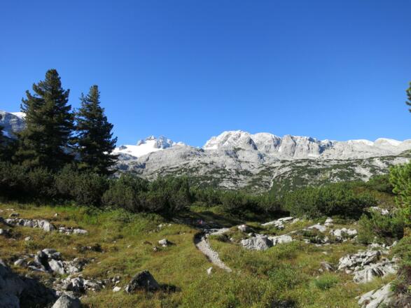 Blick Richtung Dachstein von der Gjaidalm