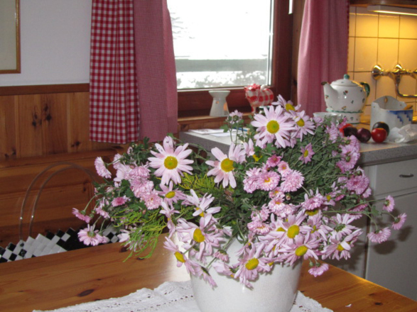 Ferienhaus Rosalinde